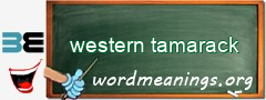 WordMeaning blackboard for western tamarack